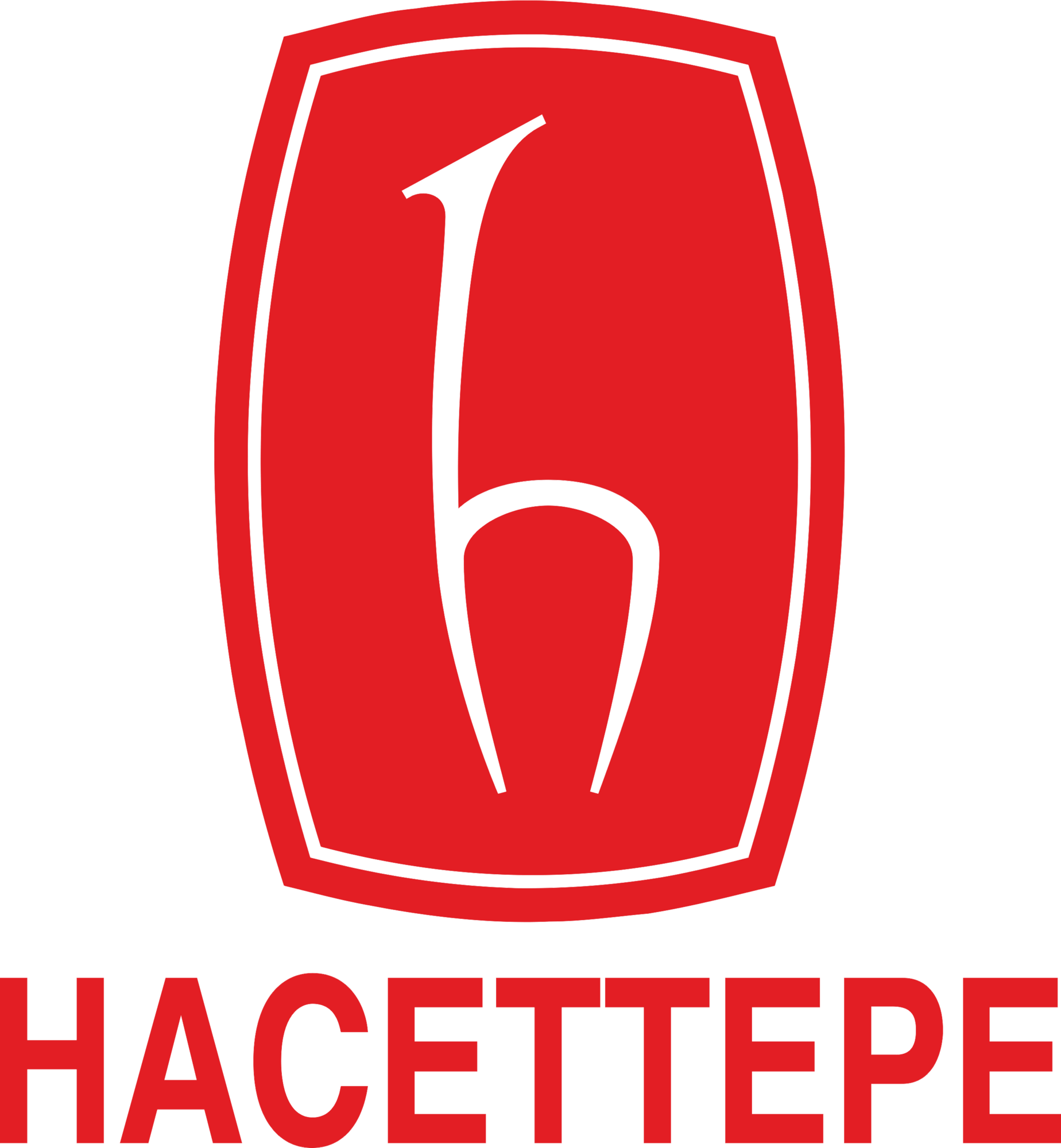 HACETTEPE NVERSTES